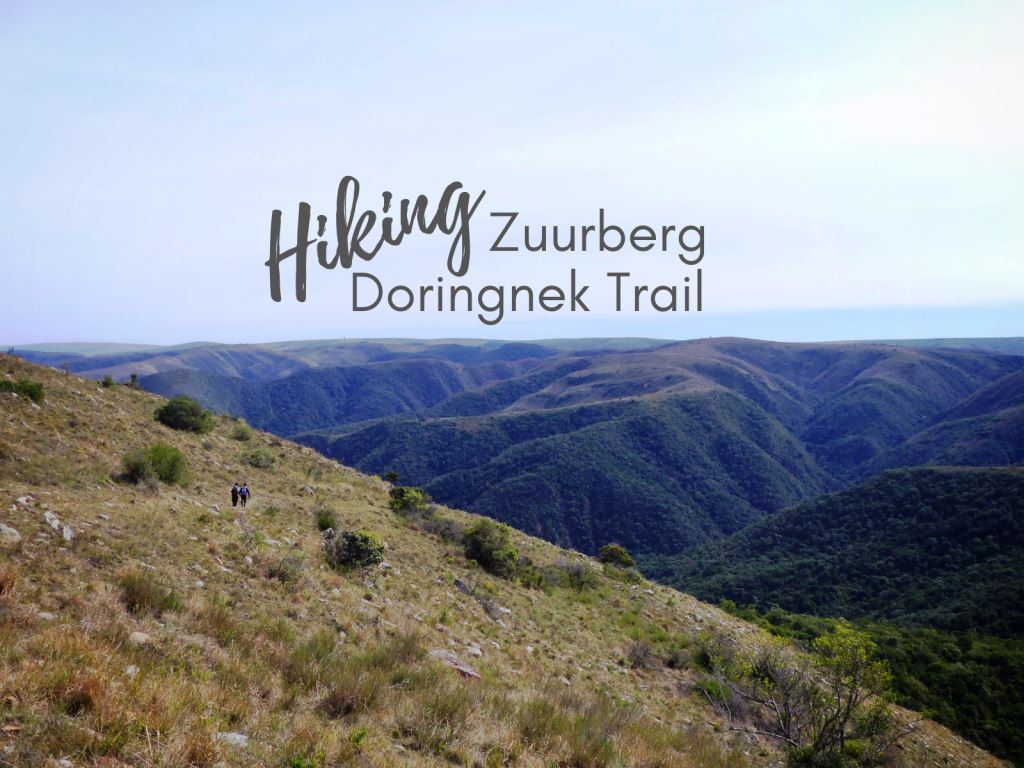 Hiking Addo’s Zuurberg Doringnek Trail (in photos)