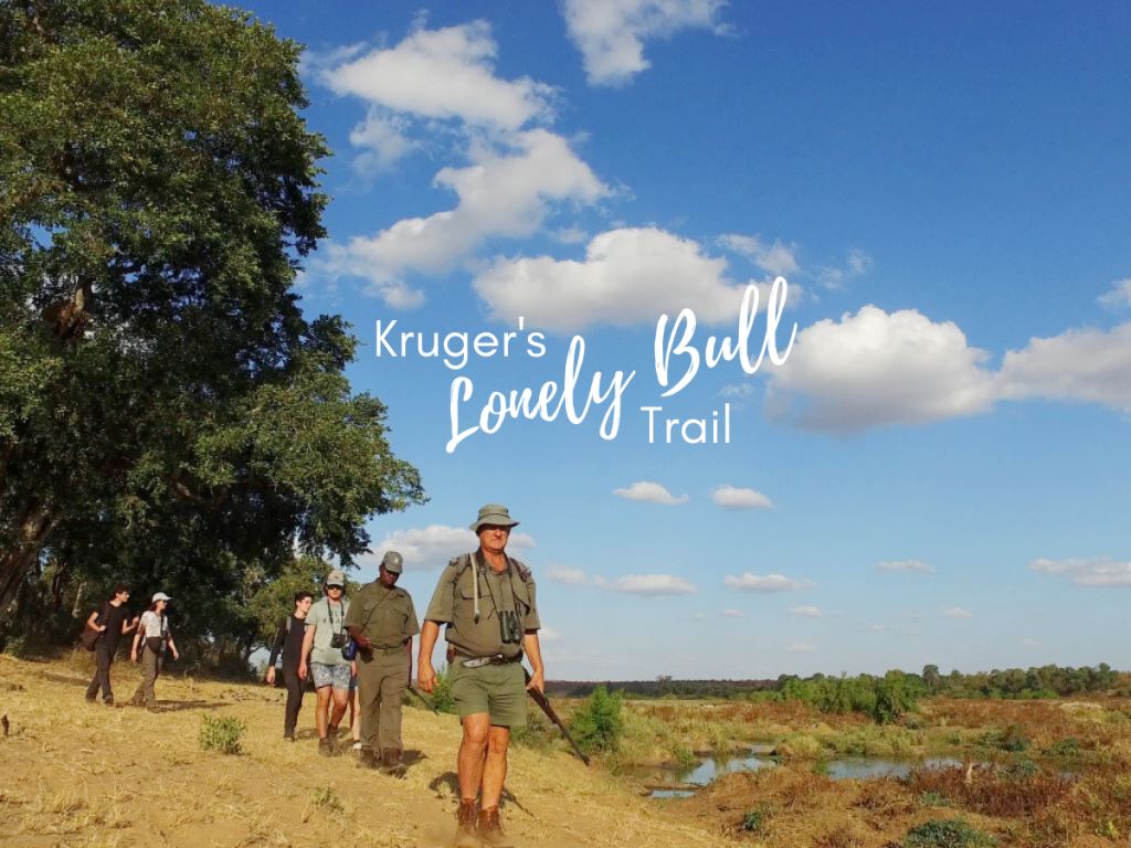 Kruger Diary – The Lonely Bull Backpack Trail (Day 1/3)