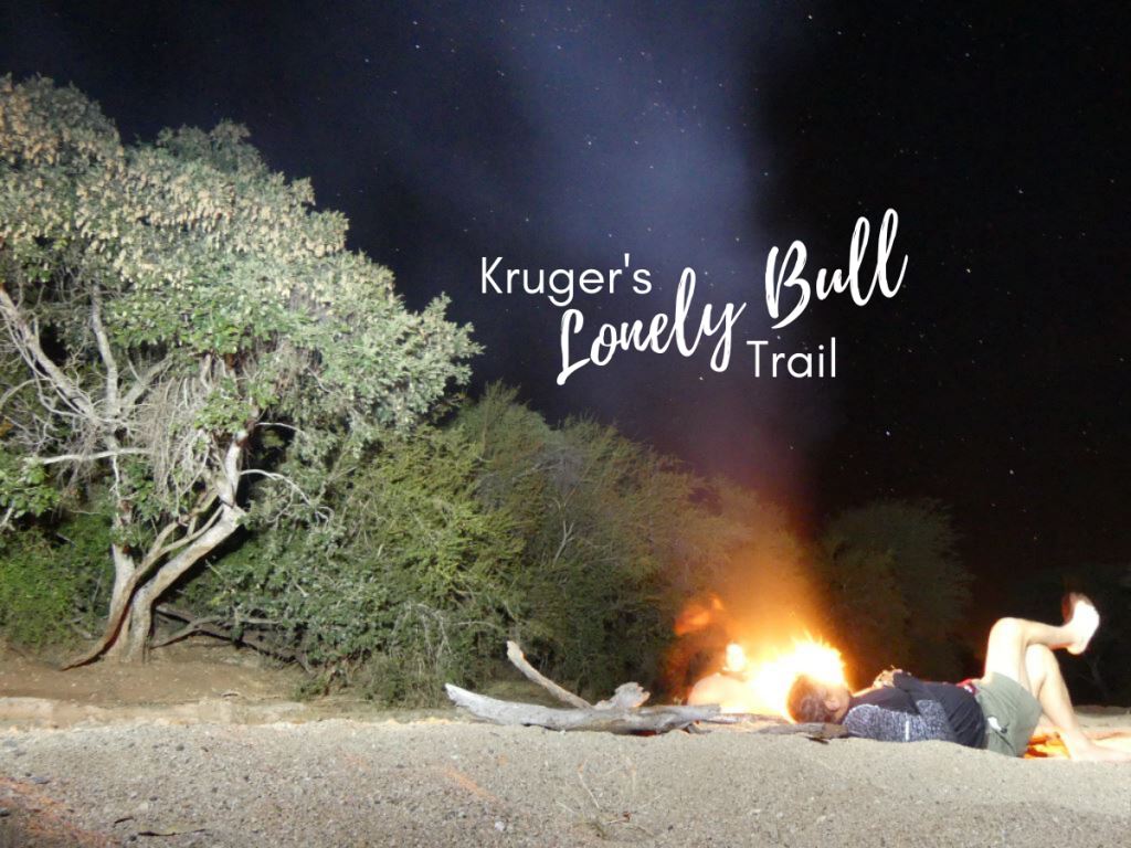 Kruger Diary – The Lonely Bull Backpack Trail (Day 2/3)