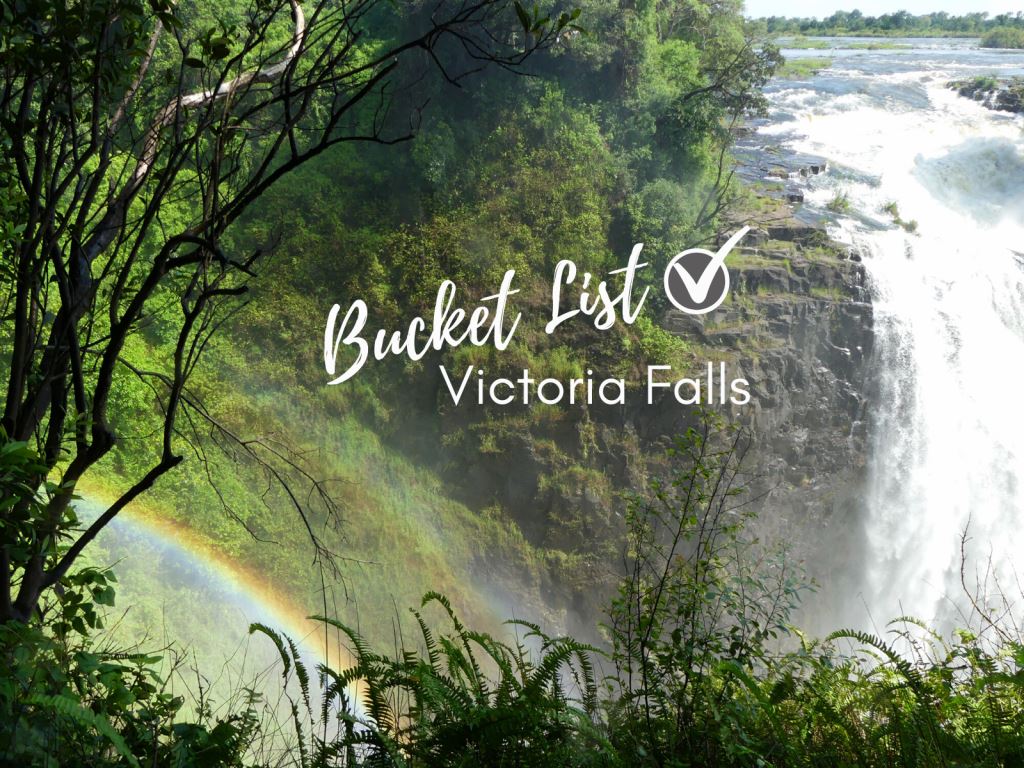 Expect the Unexpected at Victoria Falls