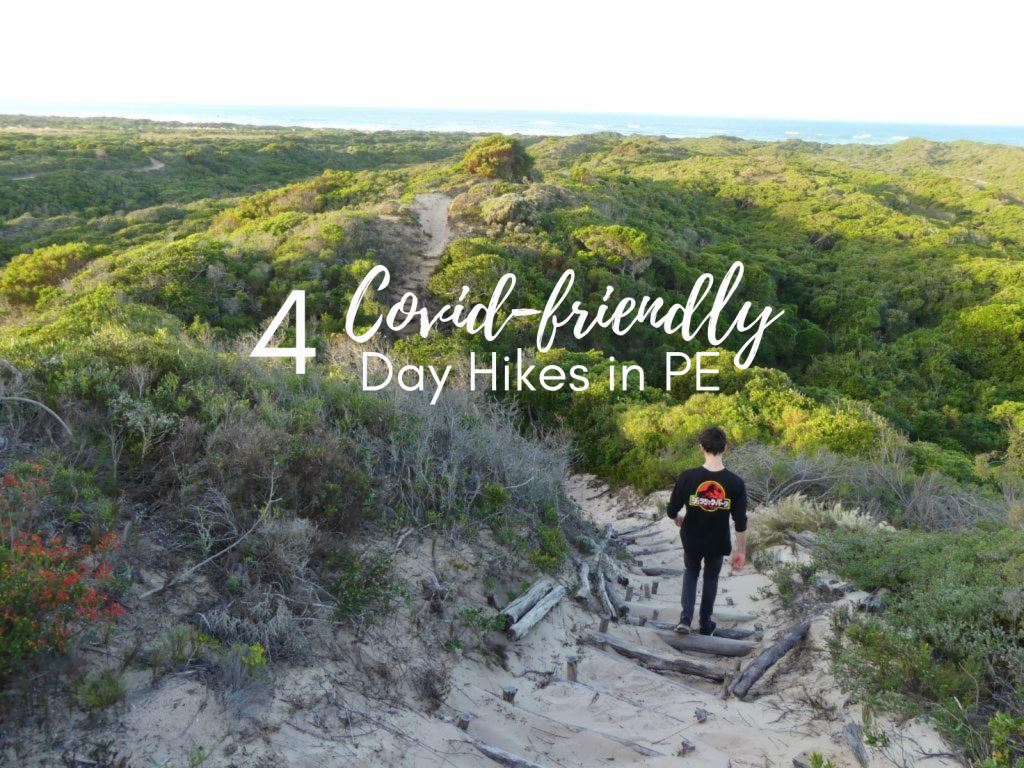 4 Covid-Friendly Day Hikes in Port Elizabeth