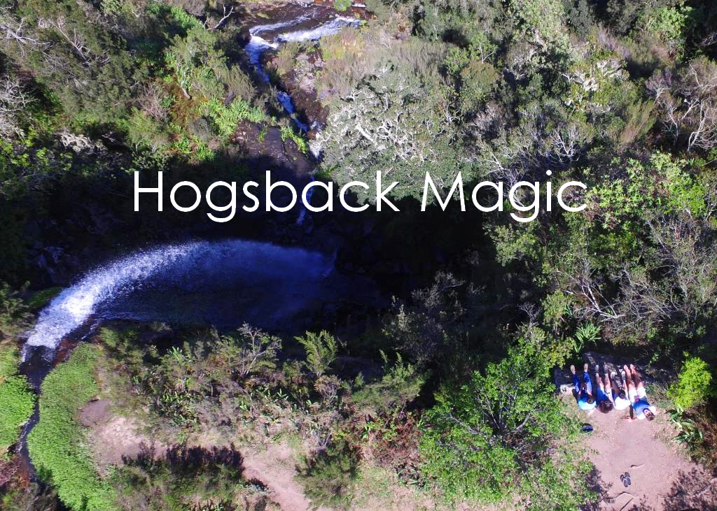 Hogsback Magic in Spring