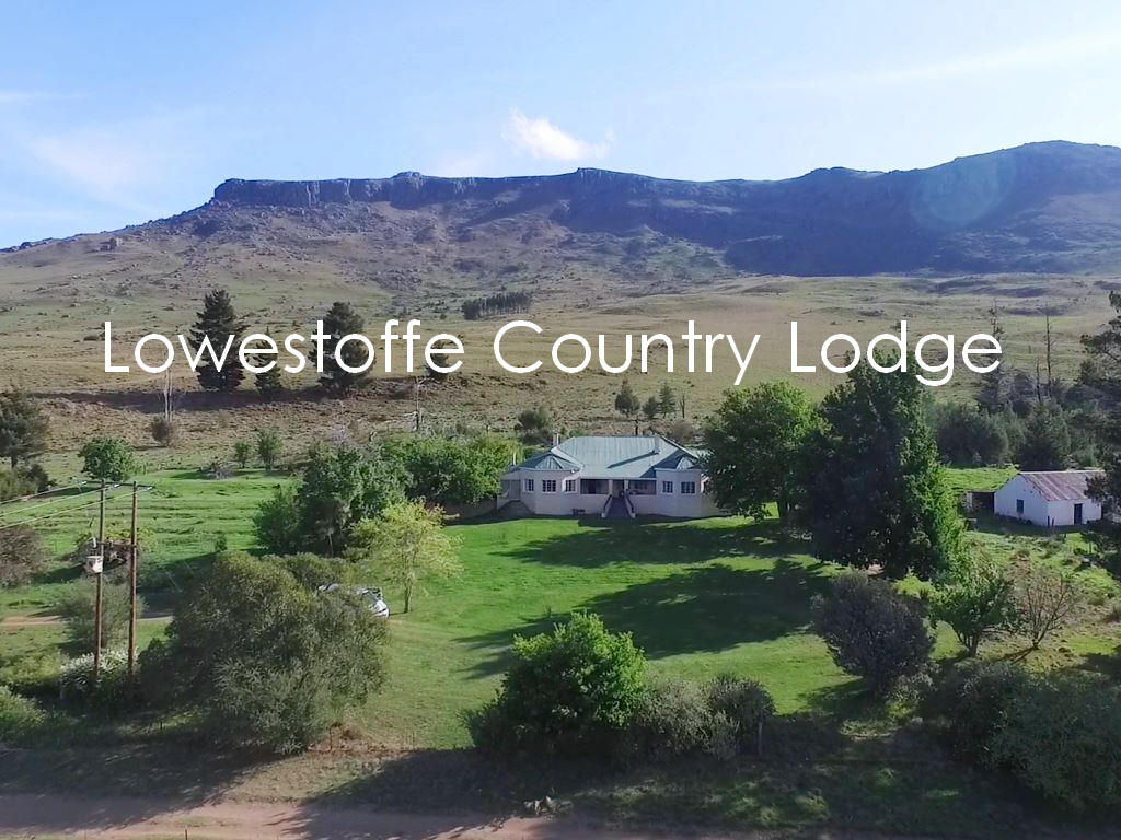 Lowestoffe Country Lodge – The Ultimate Family Farm Getaway