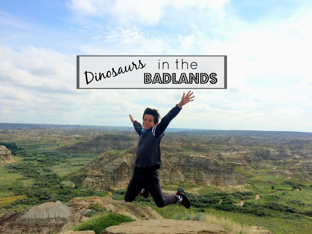 Canada Diary Part 14 – The Badlands and Another Unhappy Camper