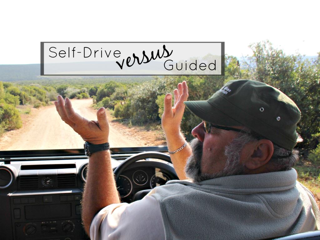 Self-Drive versus Guided Game Drives – the pros and….pros