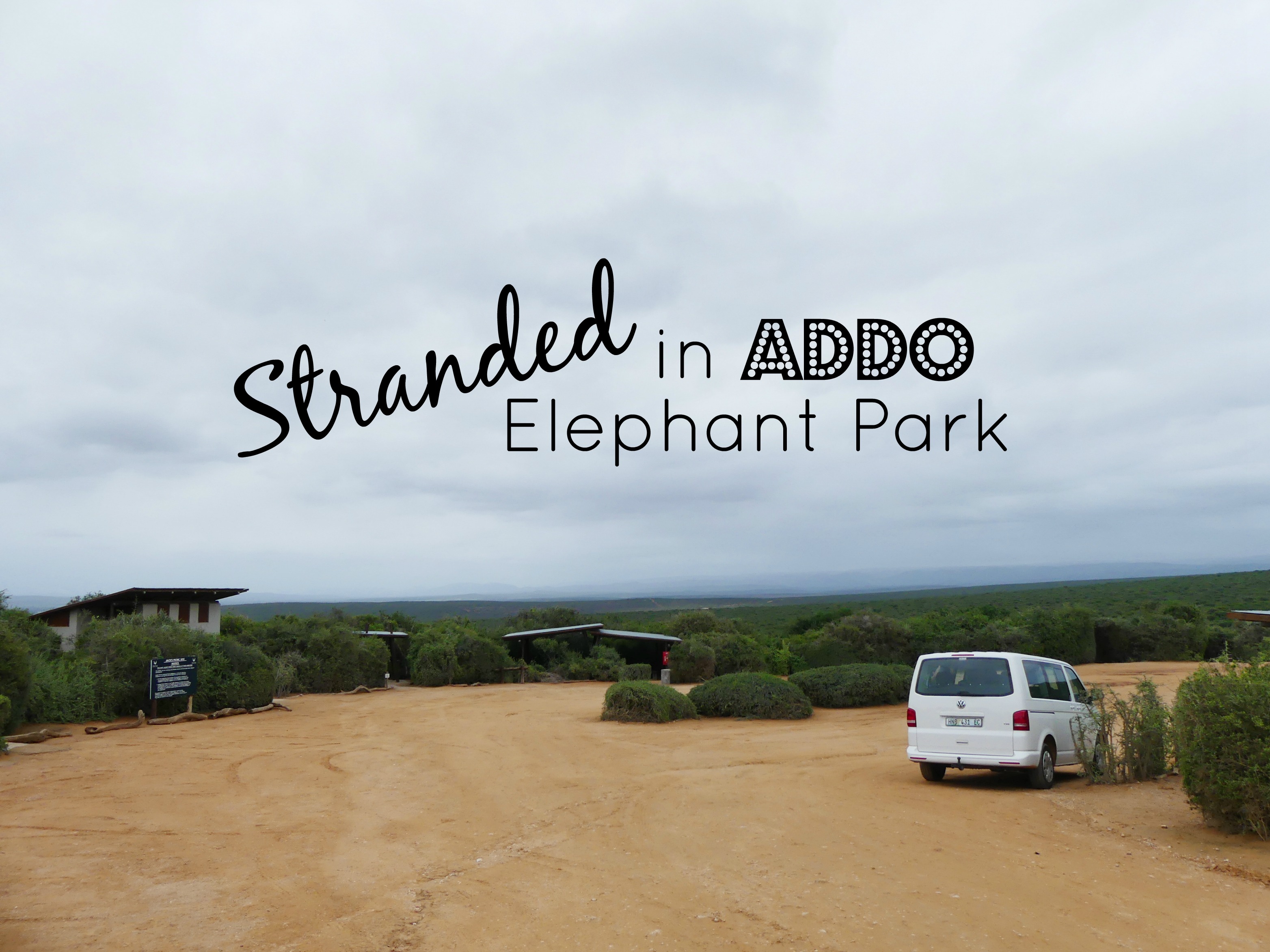 Stranded Without Car Keys in Addo Elephant National Park