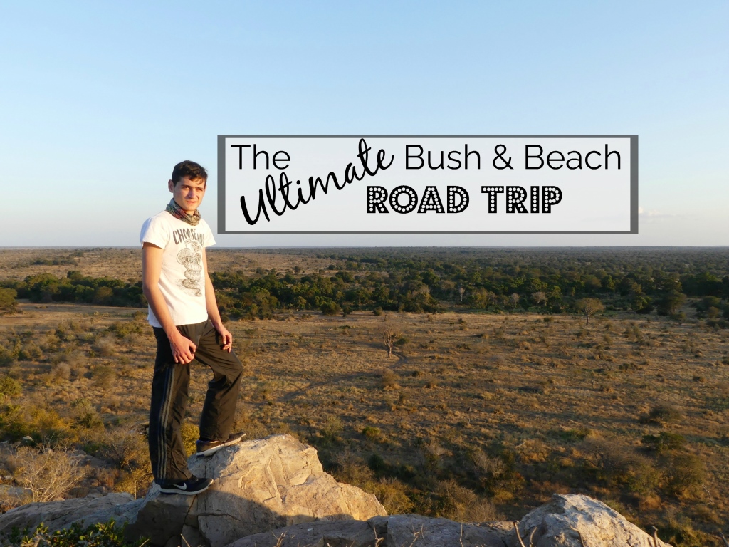 The Ultimate Bush and Beach Road Trip to Kruger and Mozambique (Part 1)