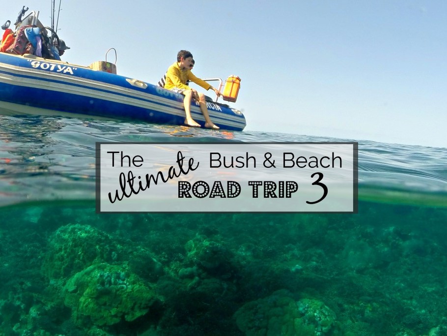 The Ultimate Bush and Beach Road Trip to Kruger and Mozambique (Part 3)